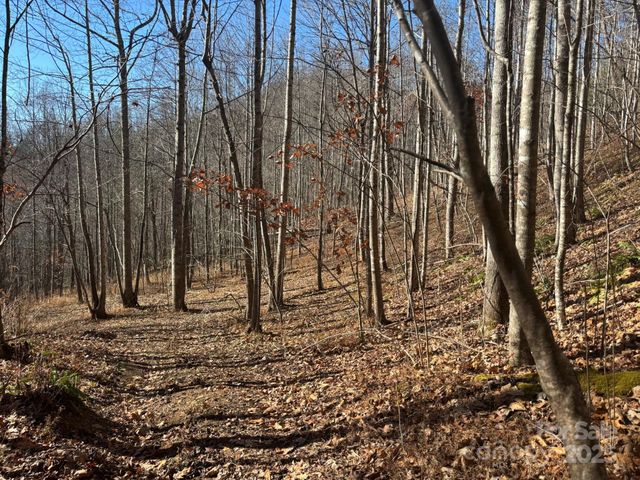 520 Renfro Road, Green Mountain, NC 28740