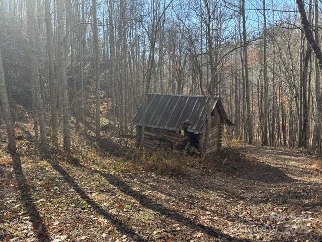 520 Renfro Road, Green Mountain, NC 28740