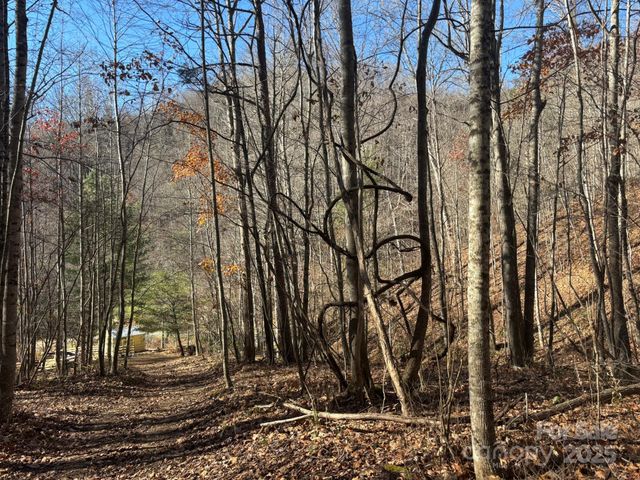 520 Renfro Road, Green Mountain, NC 28740