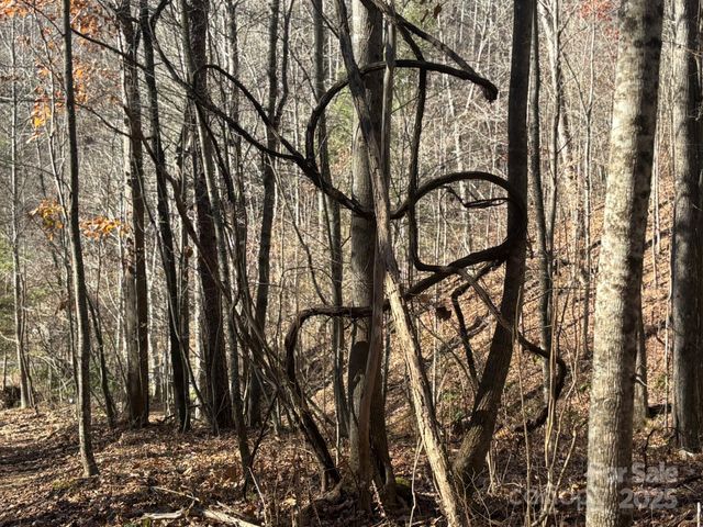 520 Renfro Road, Green Mountain, NC 28740