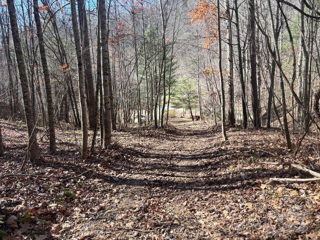 520 Renfro Road, Green Mountain, NC 28740