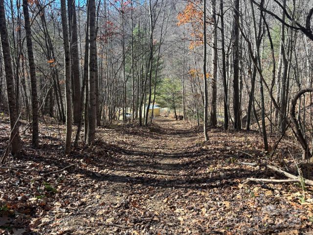 520 Renfro Road, Green Mountain, NC 28740