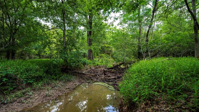 0000 CR 413, Lexington, TX 78947