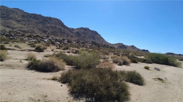 0 Campanula, Joshua Tree, CA 92252