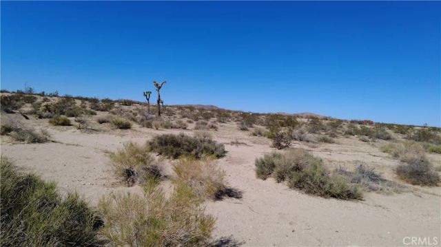 0 Campanula, Joshua Tree, CA 92252