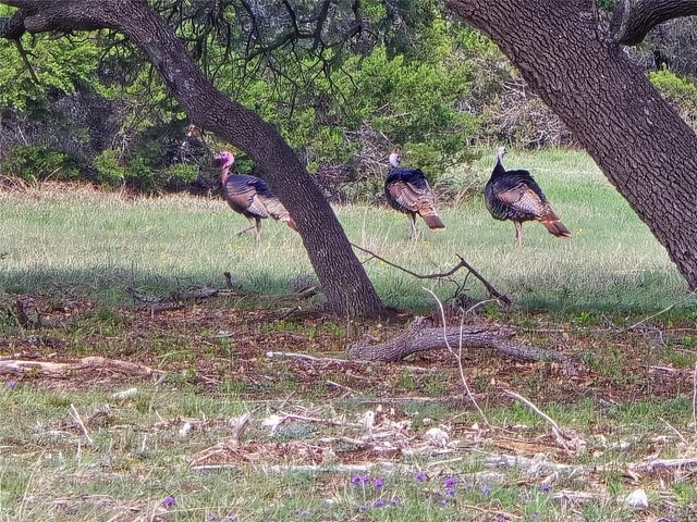 000 CR 206, Lampasas, TX 76550