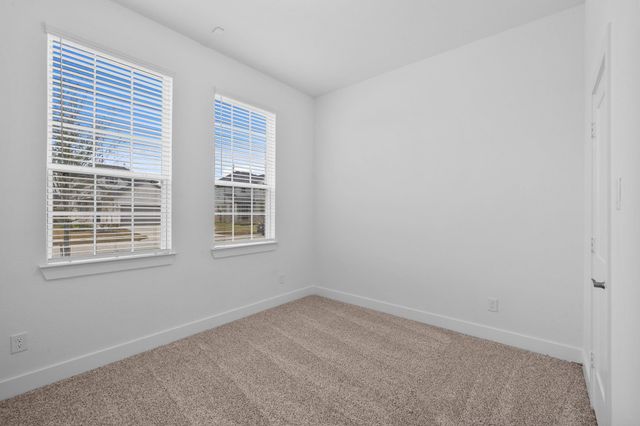 425 Mourning Dove Drive, Waller, TX 77447