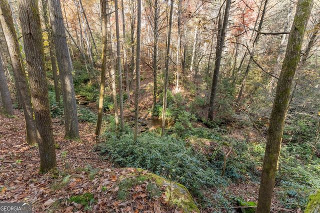 0 Stancil Dyer Road, Dahlonega, GA 30533