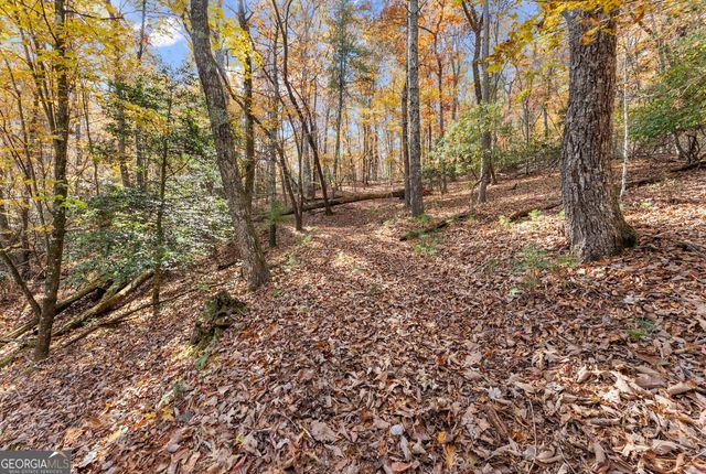 0 Stancil Dyer Road, Dahlonega, GA 30533