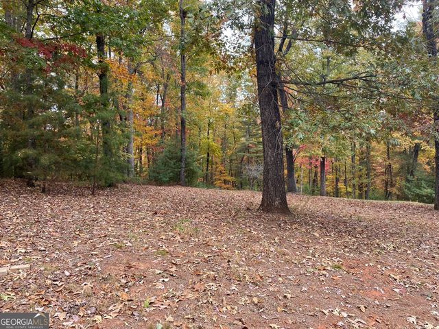 0 Stancil Dyer Road, Dahlonega, GA 30533