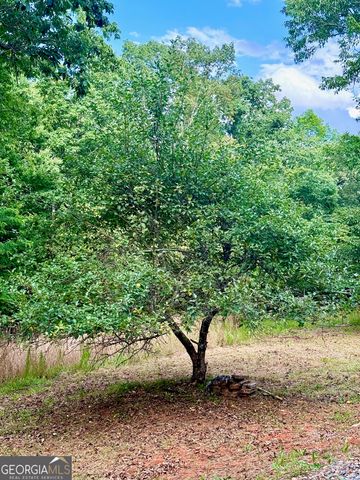 0 Stancil Dyer Road, Dahlonega, GA 30533
