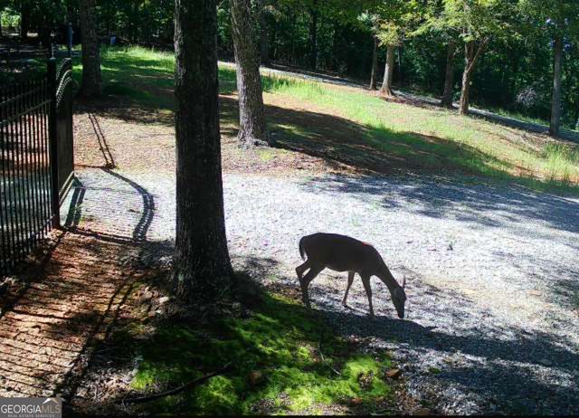 0 Stancil Dyer Road, Dahlonega, GA 30533