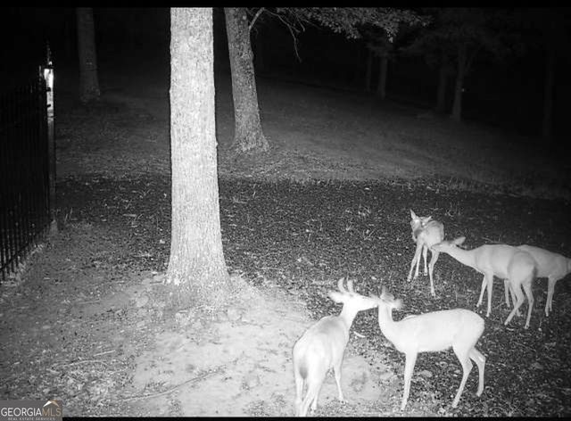 0 Stancil Dyer Road, Dahlonega, GA 30533