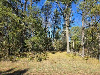 3.35 Acres Brown Deer Avenue, Arkdale, WI 54613