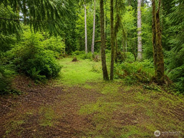 22 XX E South Island Dr, Shelton, WA 98584