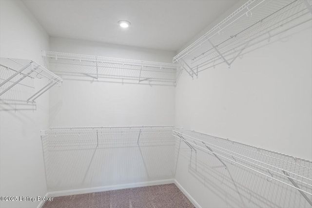 478 Mud Hen Dr, Shepherdsville, KY 40165