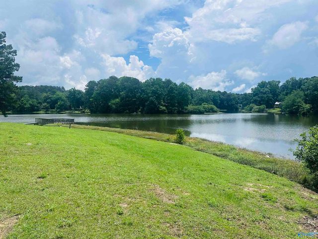 1028 Lakeview Lane NW, Arab, AL 35016