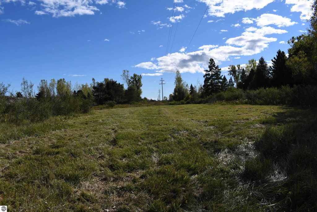 Open grassy area surrounded by trees and power lines, showcasing the 40-acre property at 2275 Noble Road, Tawas City, ideal for outdoor activities and privacy.