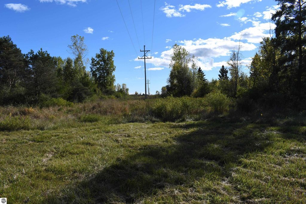 Grassy clearing with power lines and trees, showcasing the 40-acre property at 2275 Noble Road, Tawas City, ideal for outdoor activities and privacy.
