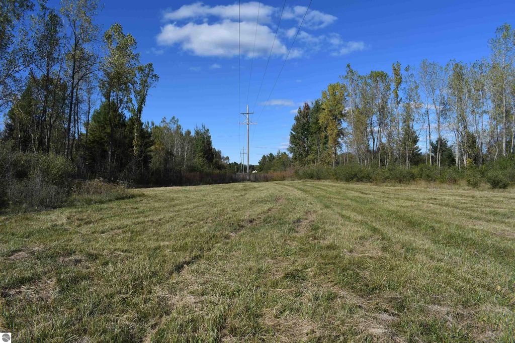 Expansive 40-acre property in Tawas City, featuring open grassy land bordered by trees and power lines under a clear blue sky, ideal for outdoor activities and privacy.