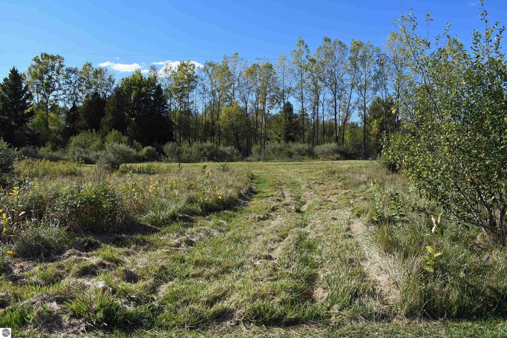 Open grassy area with a dirt path leading through trees and shrubs, showcasing the 40-acre property in Tawas City, ideal for outdoor activities and privacy.
