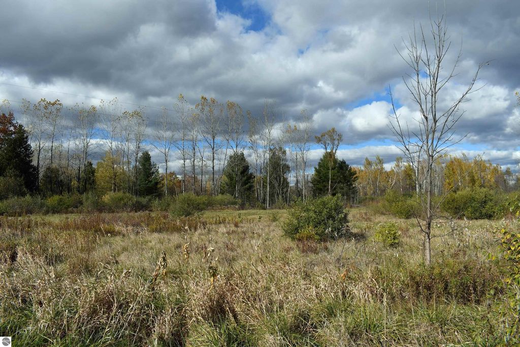 Scenic view of 40-acre property in Tawas City, featuring open grassland, scattered trees, and a cloudy sky, ideal for outdoor activities and privacy.