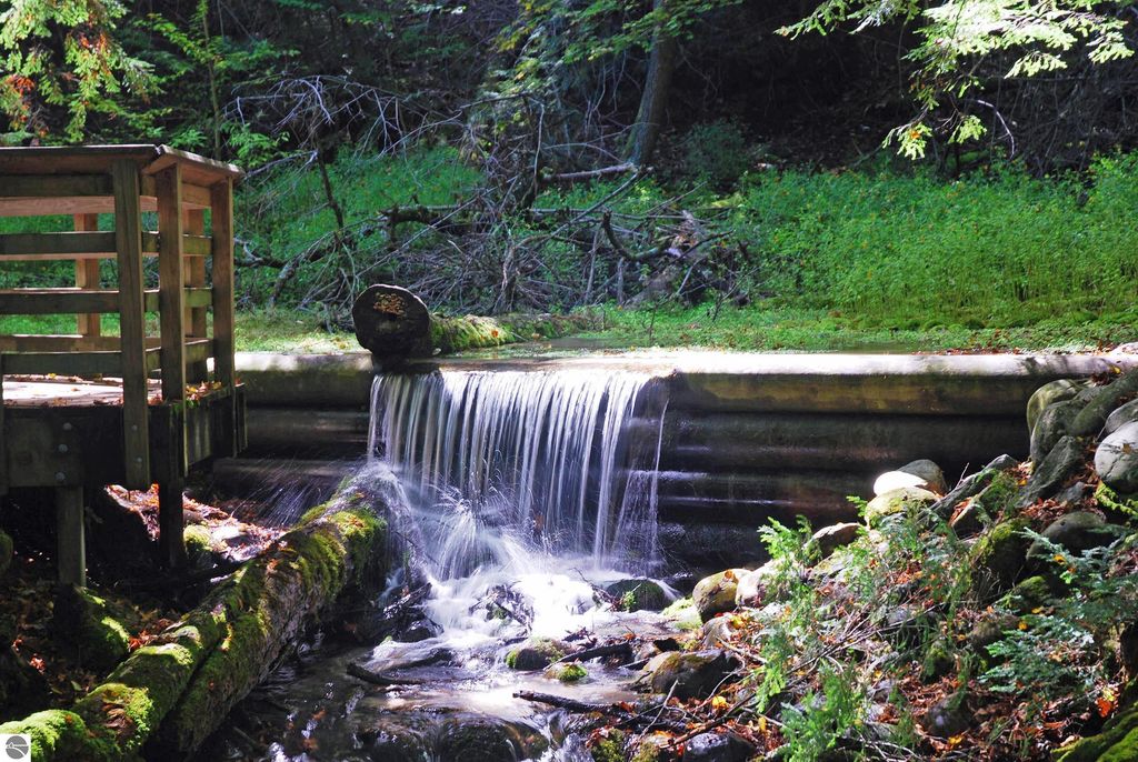Wooden structure beside a small waterfall flowing over logs, surrounded by lush greenery and forest undergrowth, reflecting the natural outdoor lifestyle near 2275 Noble Road, Tawas City, MI.