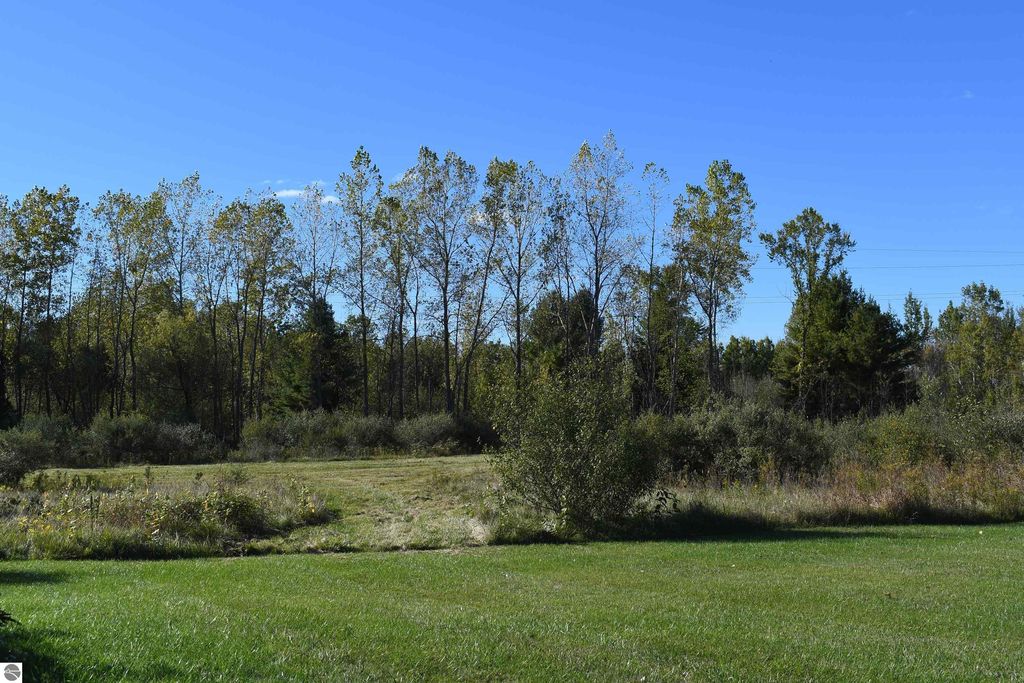 Lush green landscape featuring a grassy field and a backdrop of tall trees, highlighting the 40-acre property for sale at 2275 Noble Road, Tawas City, MI, ideal for outdoor activities and privacy.