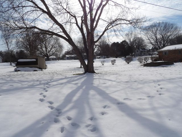 415 Remus Drive, Buchanan, MI 49107