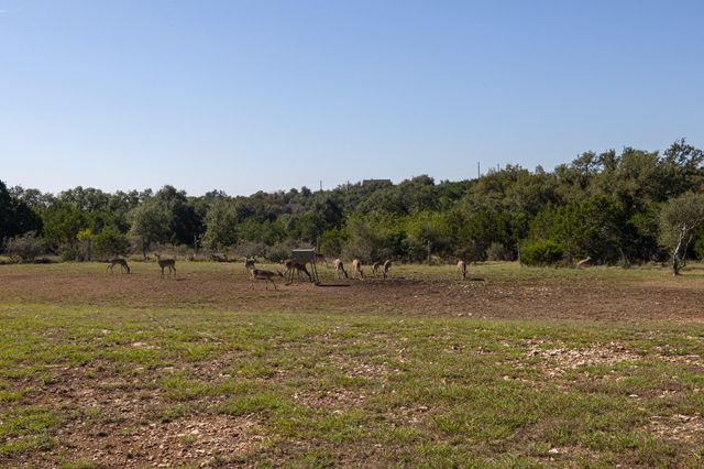 260 Mexican Hat DR, Spring Branch, TX 78070