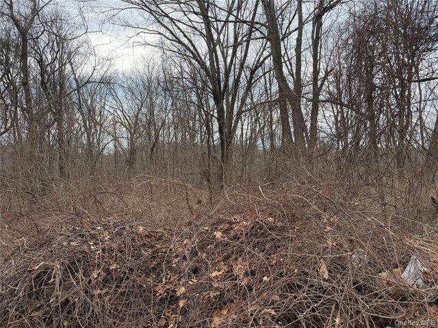 165 Fairfield Drive, Brewster, NY 10509