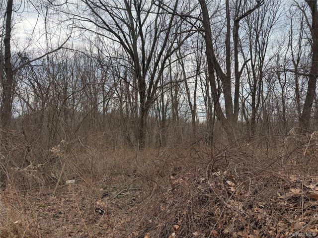 165 Fairfield Drive, Brewster, NY 10509