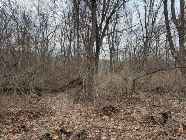 165 Fairfield Drive, Brewster, NY 10509