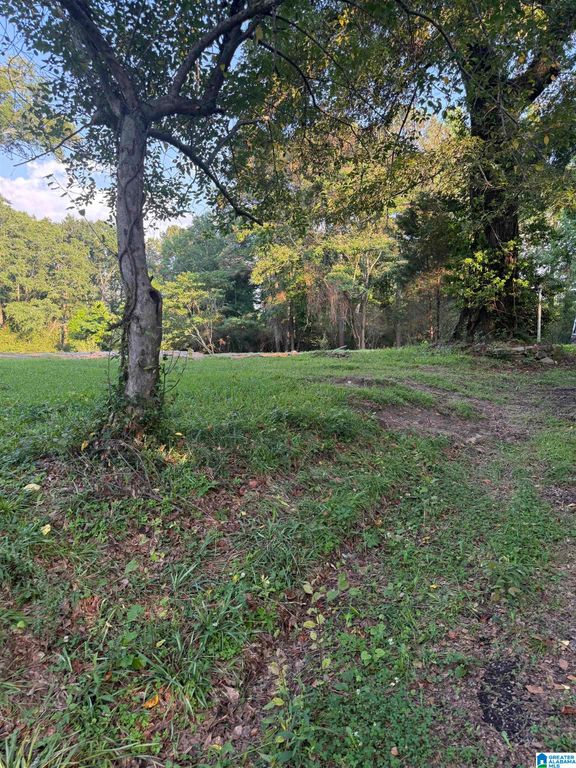 937 MORRIS MAJESTIC ROAD, Morris, AL 35116