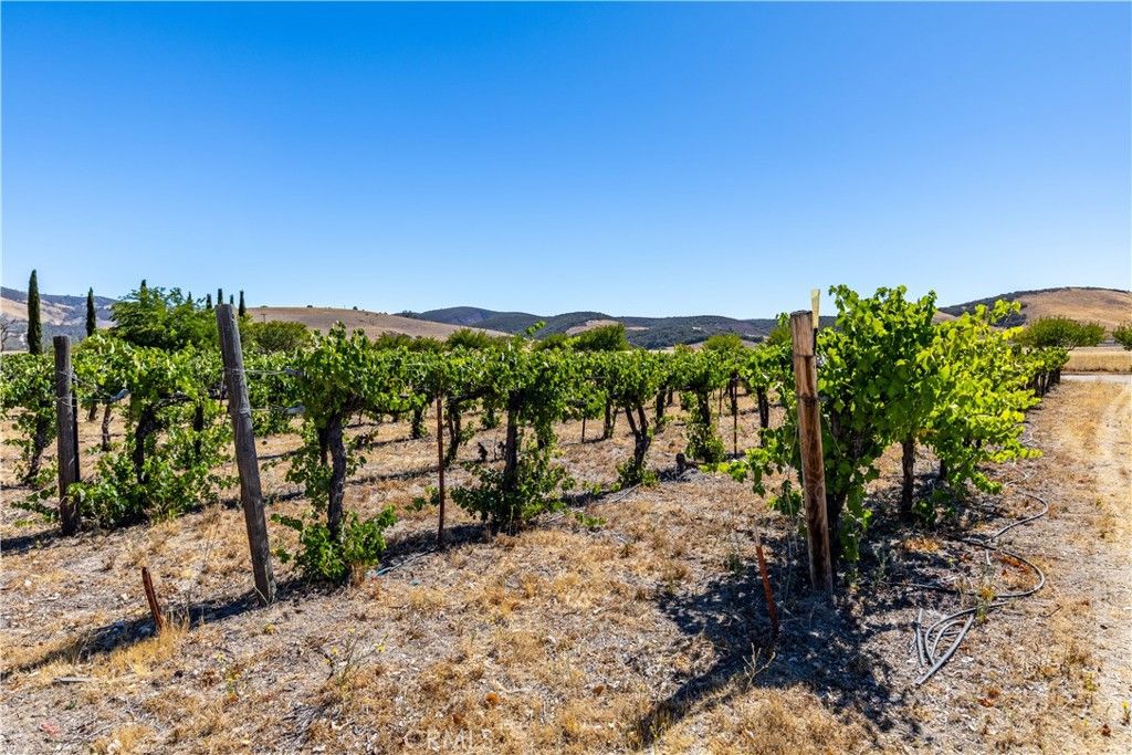 Image 48 of property listing at 65380 San Lucas, Lockwood, CA 93932