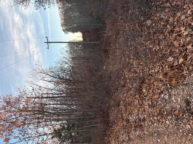 Tbd Hylton Drive, Norwood, MO 65717