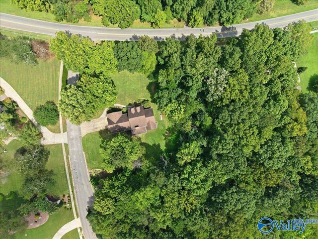 101 Belle Ridge Drive, Madison, AL 35758