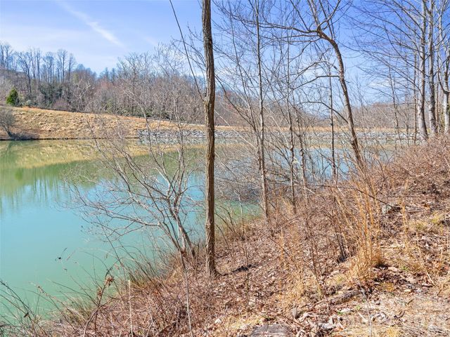 82 Narrows Run Loop, Hendersonville, NC 28791