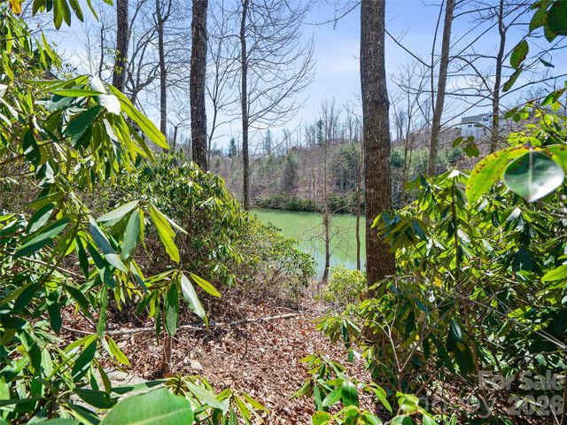 82 Narrows Run Loop, Hendersonville, NC 28791