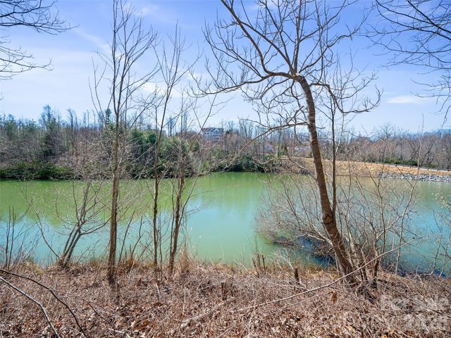 82 Narrows Run Loop, Hendersonville, NC 28791