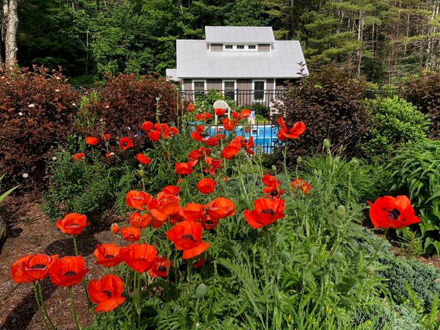 65 Clark Camp Road, Cornish, NH 03754