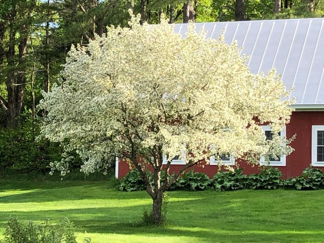65 Clark Camp Road, Cornish, NH 03754