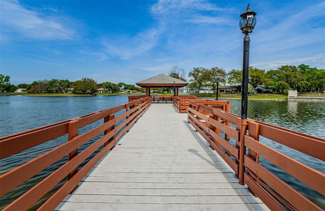 10623 MIRA VISTA DRIVE, Port Richey, FL 34668