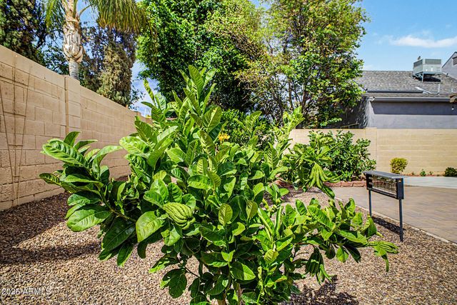 5002 E BLANCHE Drive, Scottsdale, AZ 85254