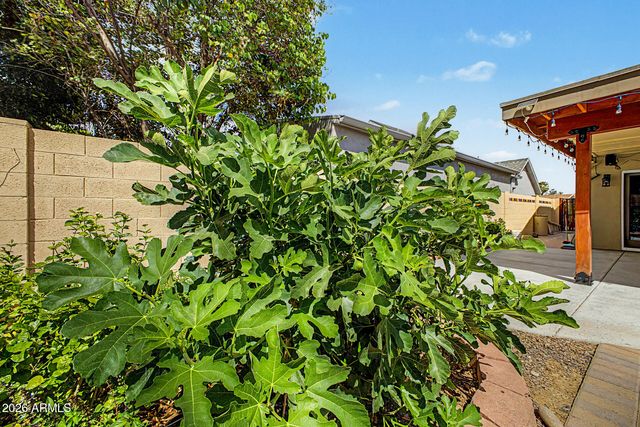 5002 E BLANCHE Drive, Scottsdale, AZ 85254