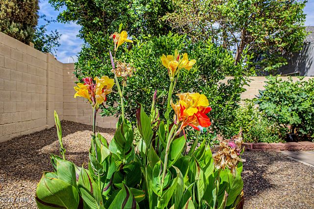 5002 E BLANCHE Drive, Scottsdale, AZ 85254