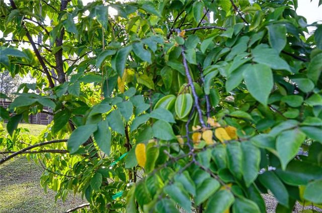 12 35th AVE NW, Naples, FL 34120