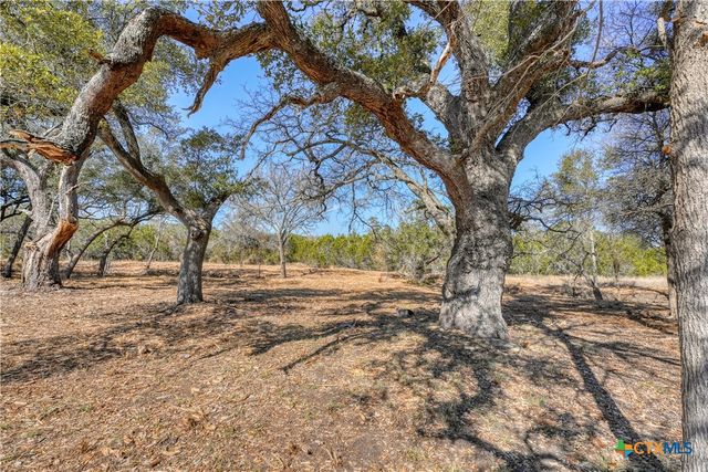 Lot 21 Burnet Oaks Drive, Burnet, TX 78611