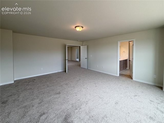 8211 Henzlee Place, Falcon, CO 80831