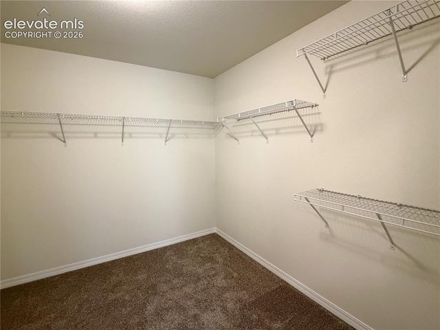 8211 Henzlee Place, Falcon, CO 80831